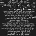 الصورة الرمزية حياة طيبة